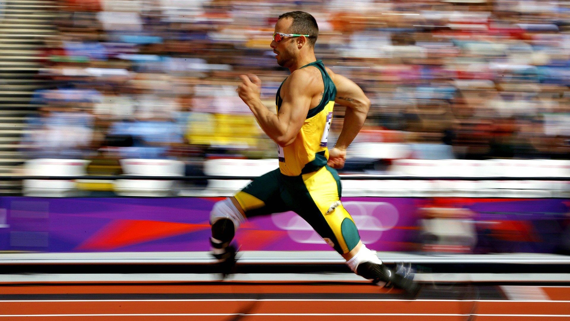 篮球专项动作训练中的视觉反馈技术应用，篮球视觉盛宴