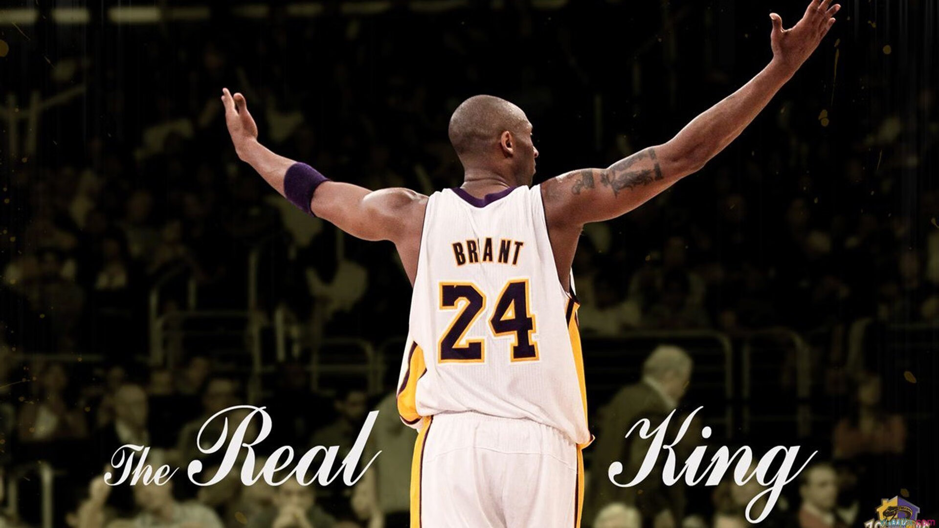 慢节奏下的掩护效果是否更能制造有效出手,掩护的基本动作要领